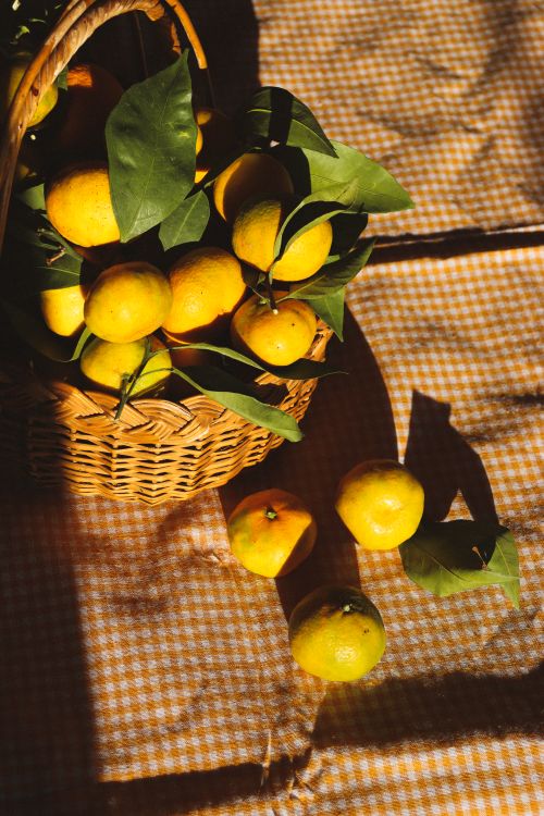 Free Sunlit wicker basket filled with citrus fruits on a checkered tablecloth, perfect for summer-themed content. Stock Photo