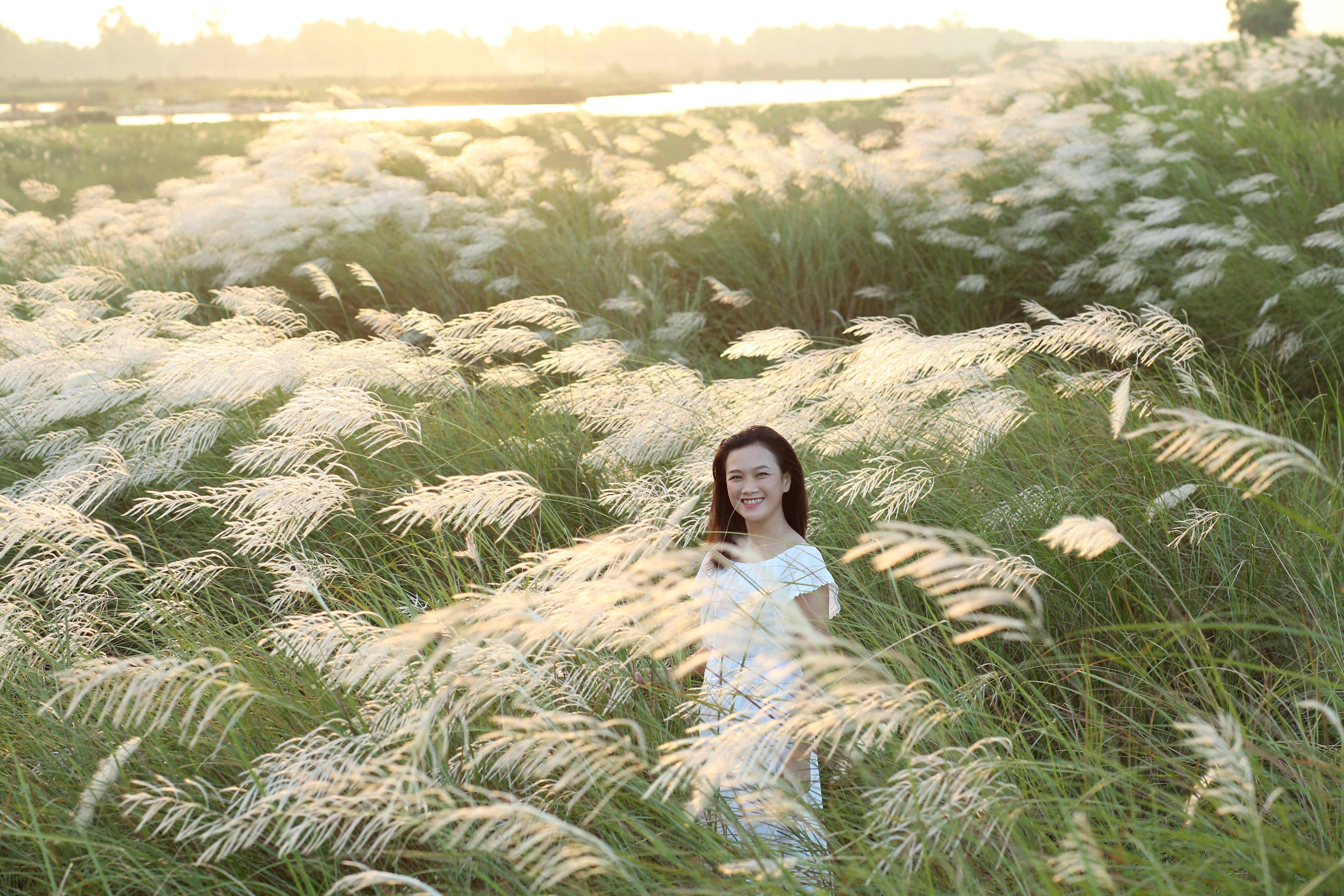 Woman in a Field of Blooming Grass at Sunset · Free Stock Photo
