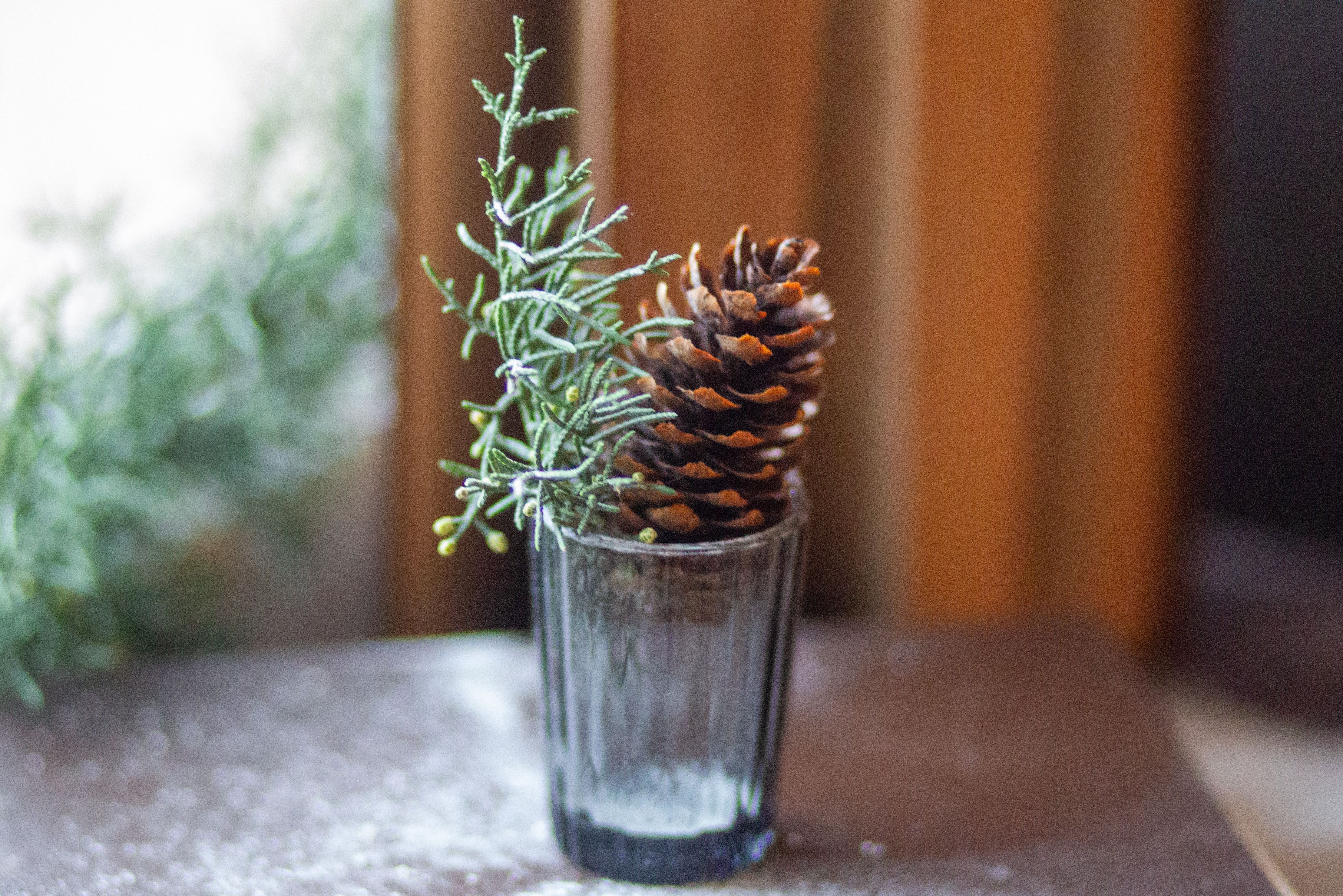 Winterblumen Set 5 Stück — Empfehlung für Glasvasen für Winterblumen