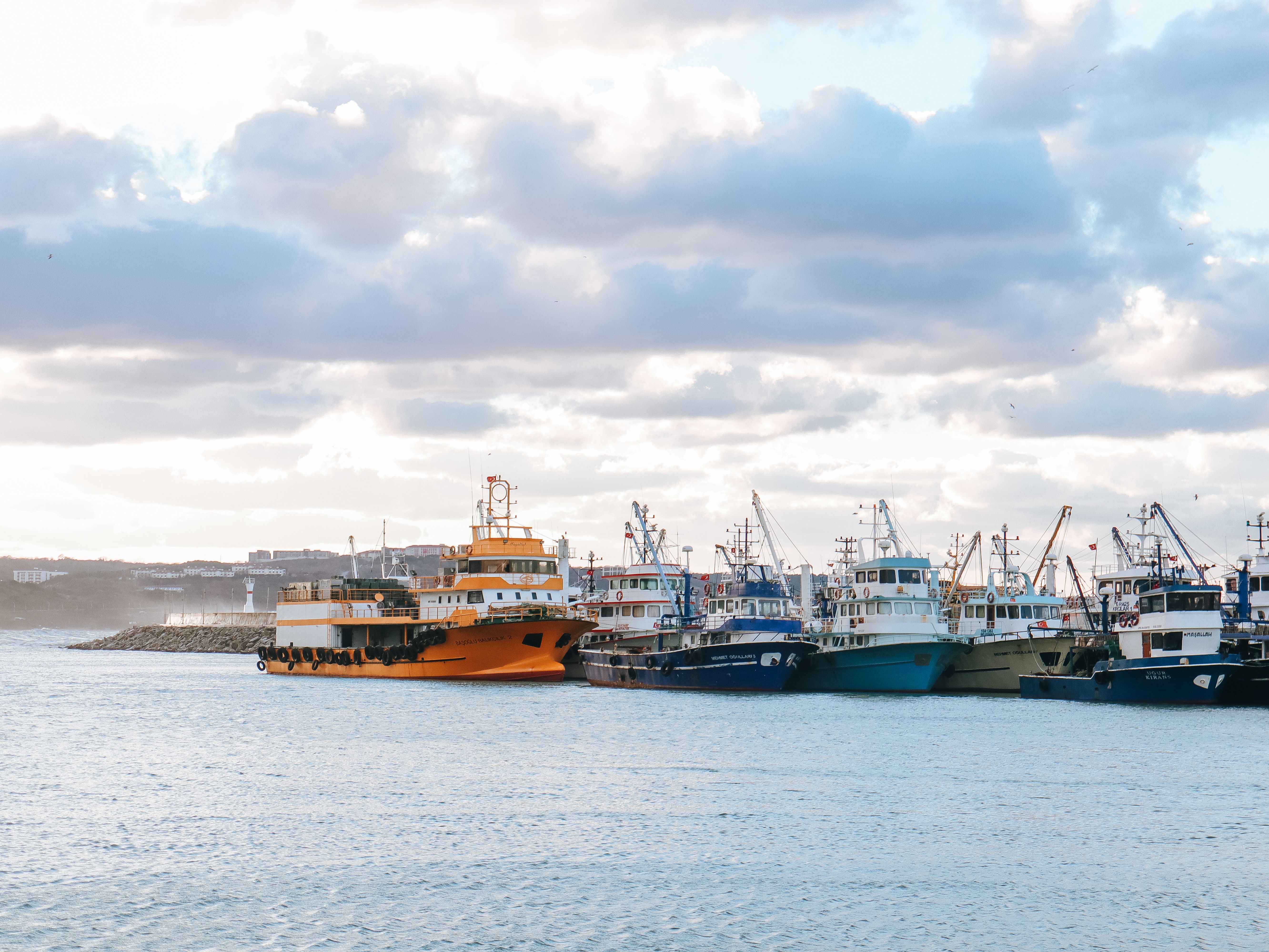 Bright Fishing Boats Docked in Scenic Harbor · Free Stock Photo