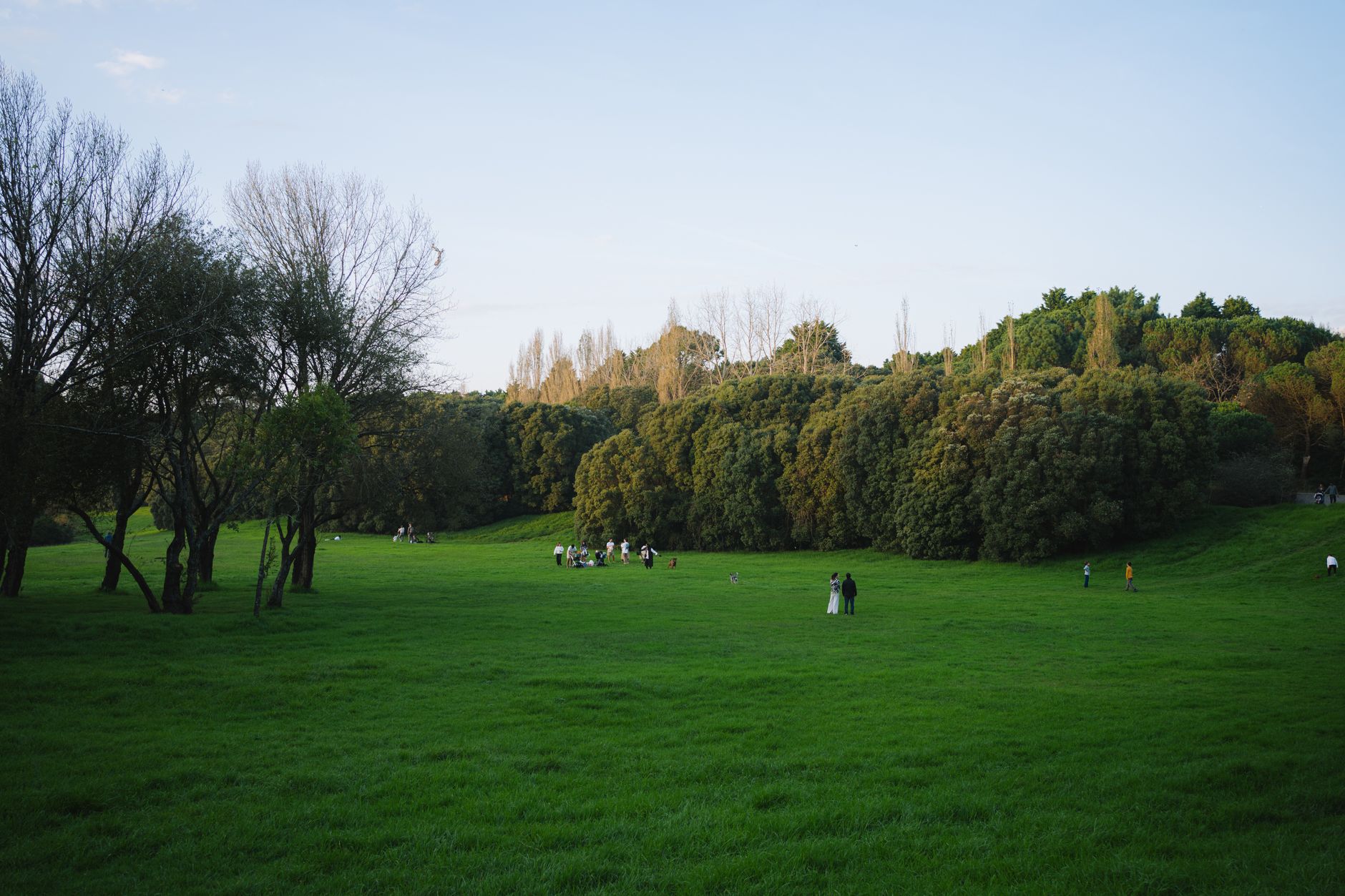 Lush green park with scattered people, trees, and open sky during daylight.