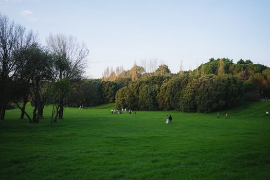 Lush green park with scattered people, trees, and open sky during daylight.