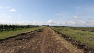 Cross-Border Logistics