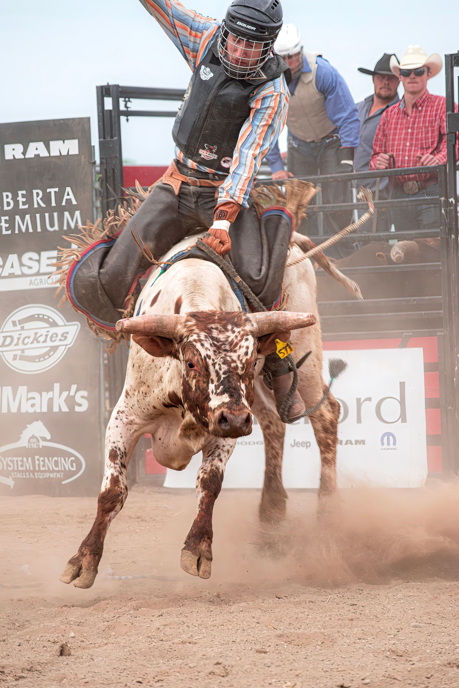 Bullrid Bull Riding Photos, Download The BEST Free Bull Riding Stock Photos ...