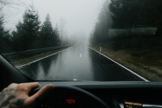 Moody view of a rainy and foggy forest road from inside a car