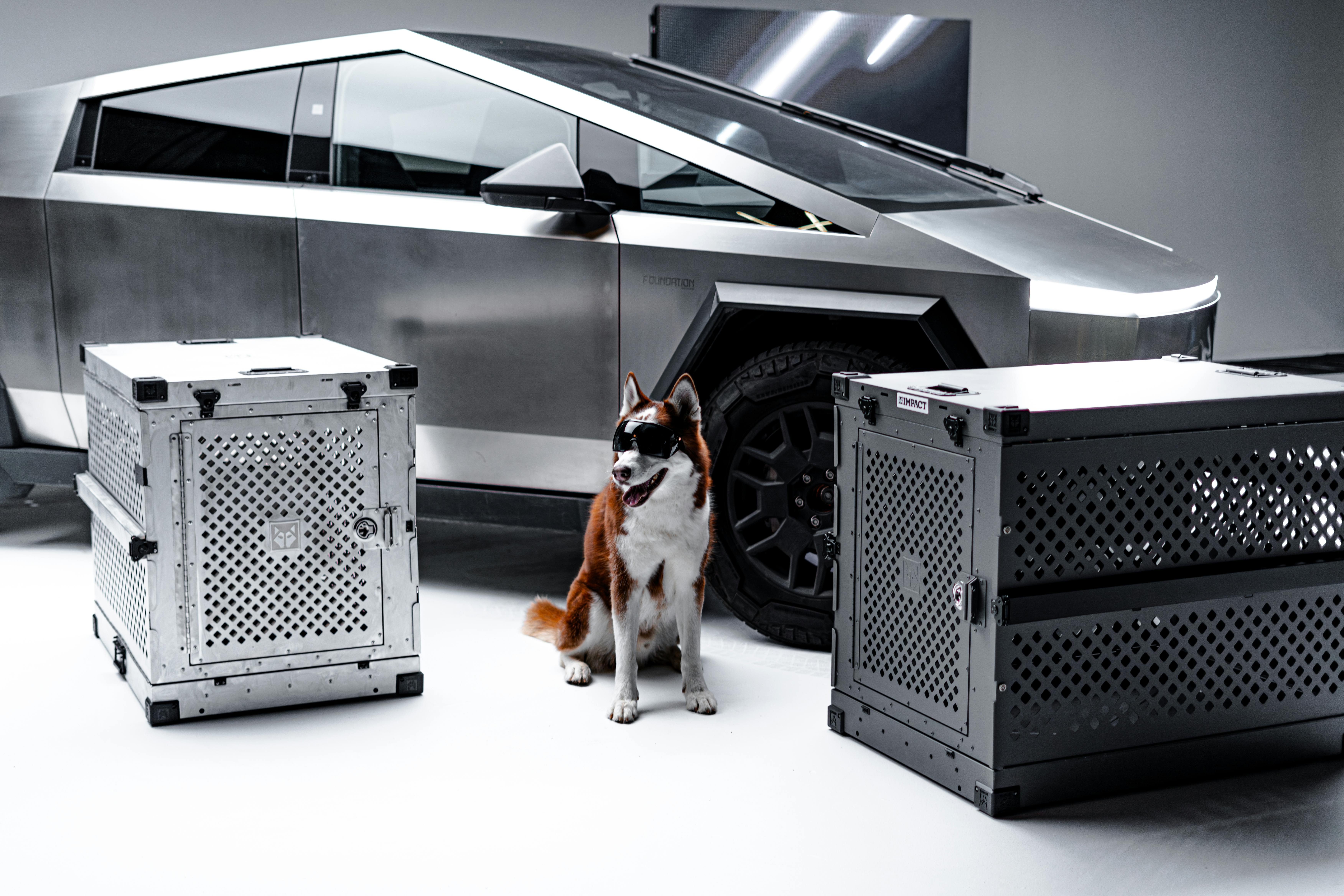 futuristic dog and crate with modern vehicle