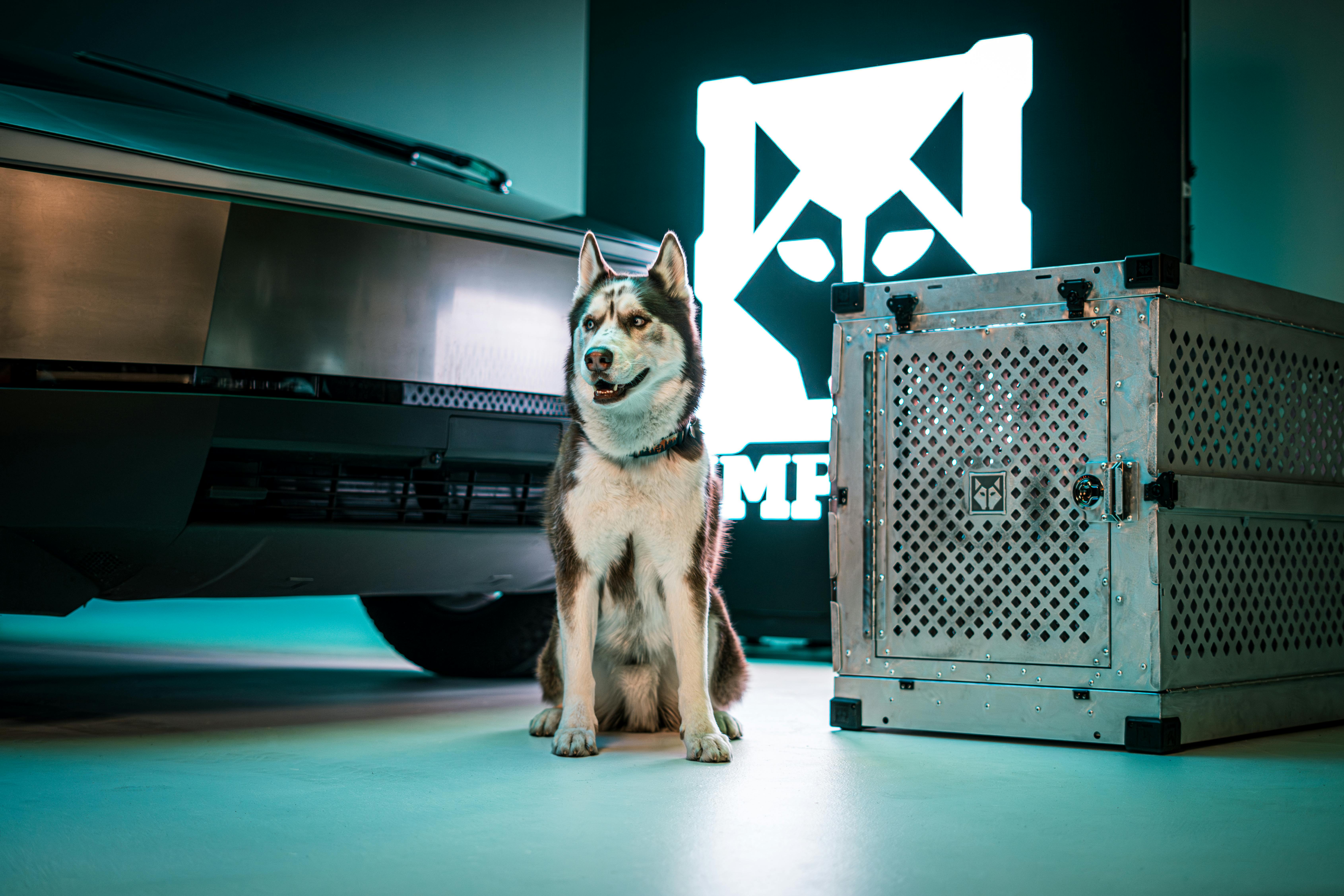siberian husky with futuristic vehicle and dog crate