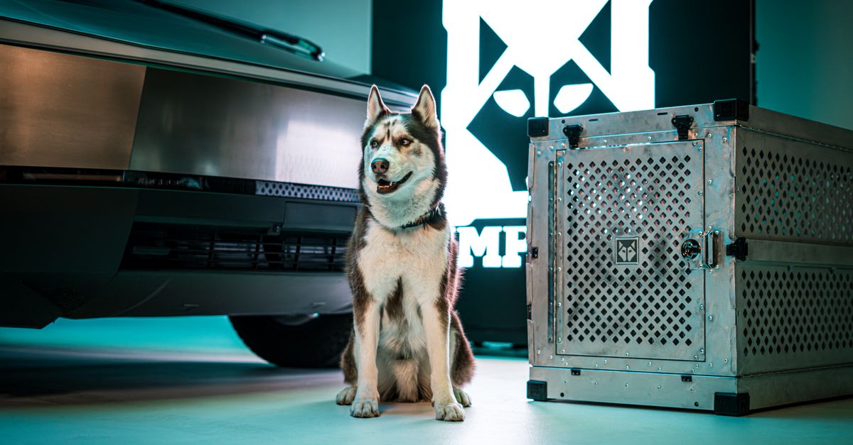 A Siberian husky beside a sleek vehicle and a premium dog crate indoors.