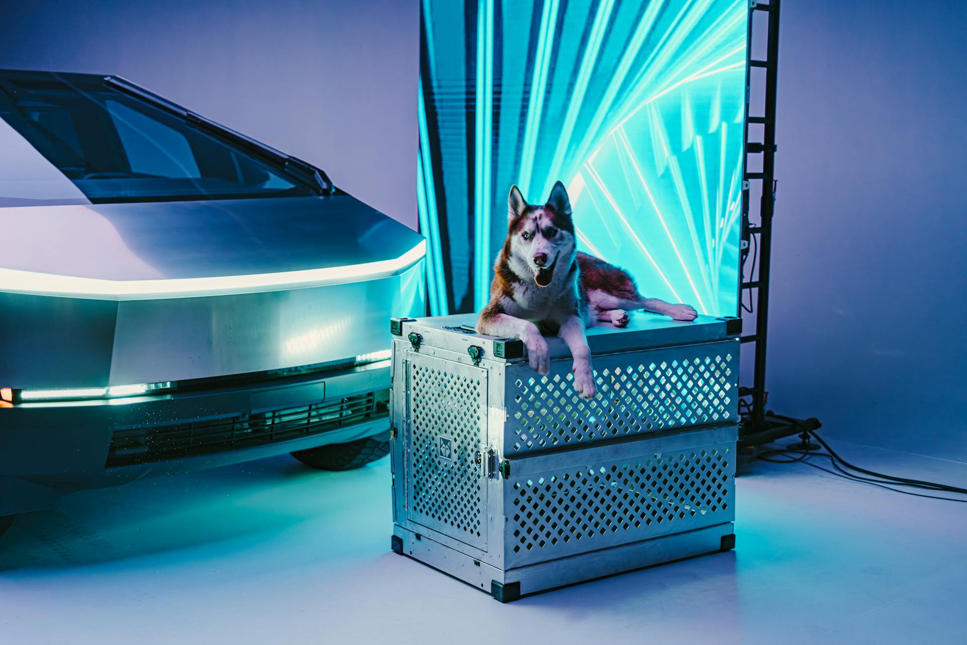 A Siberian Husky sits on a metallic dog crate beside a futuristic vehicle with vibrant LED lighting.