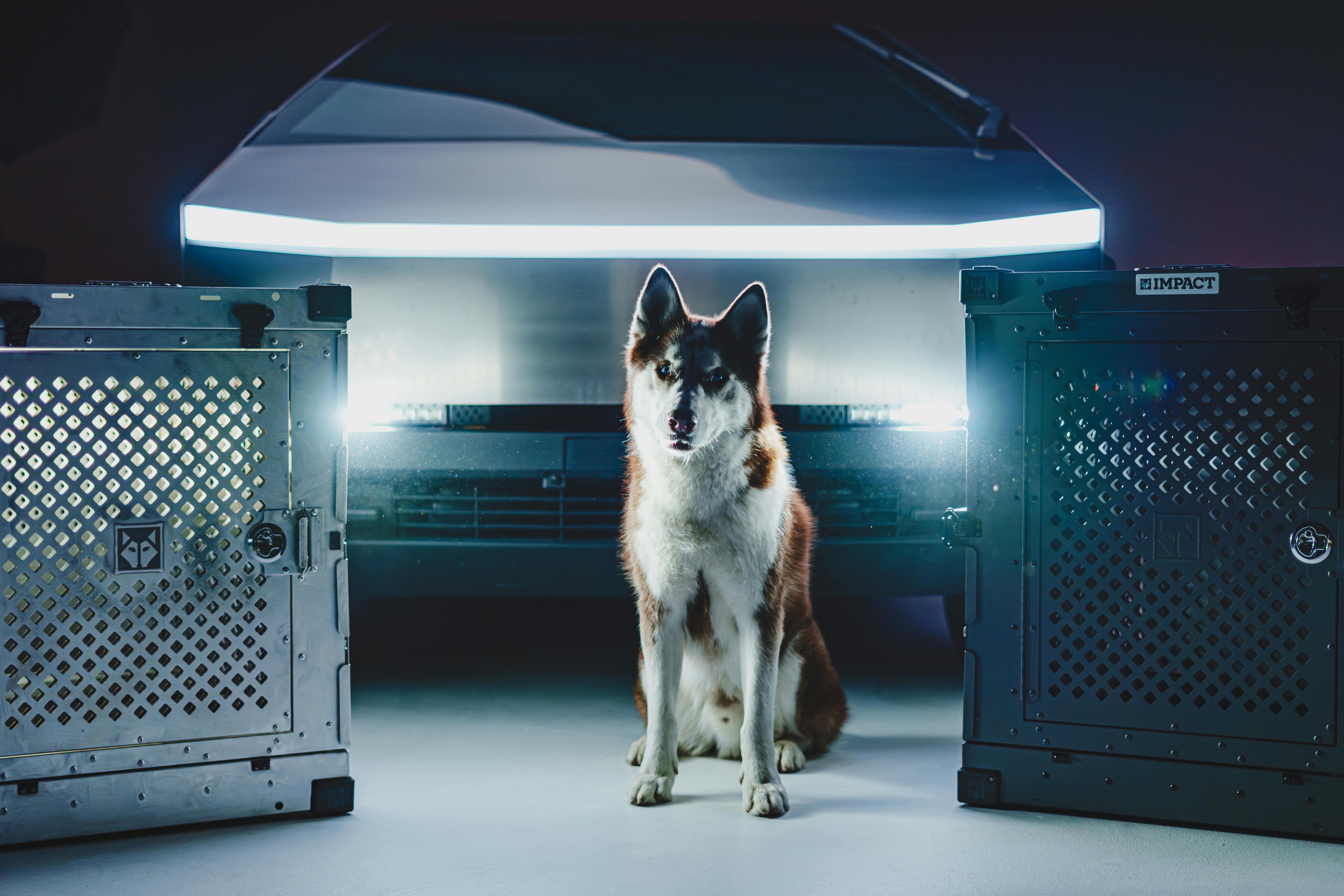 A Siberian husky sits between premium dog crates and a futuristic vehicle.