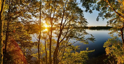 Free Beautiful sunrise over a tranquil lake with trees and reflections. Stock Photo