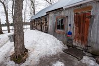 A traditional sugar shack in Québec, Canada, surrounded by snowy landscape and woodshed.