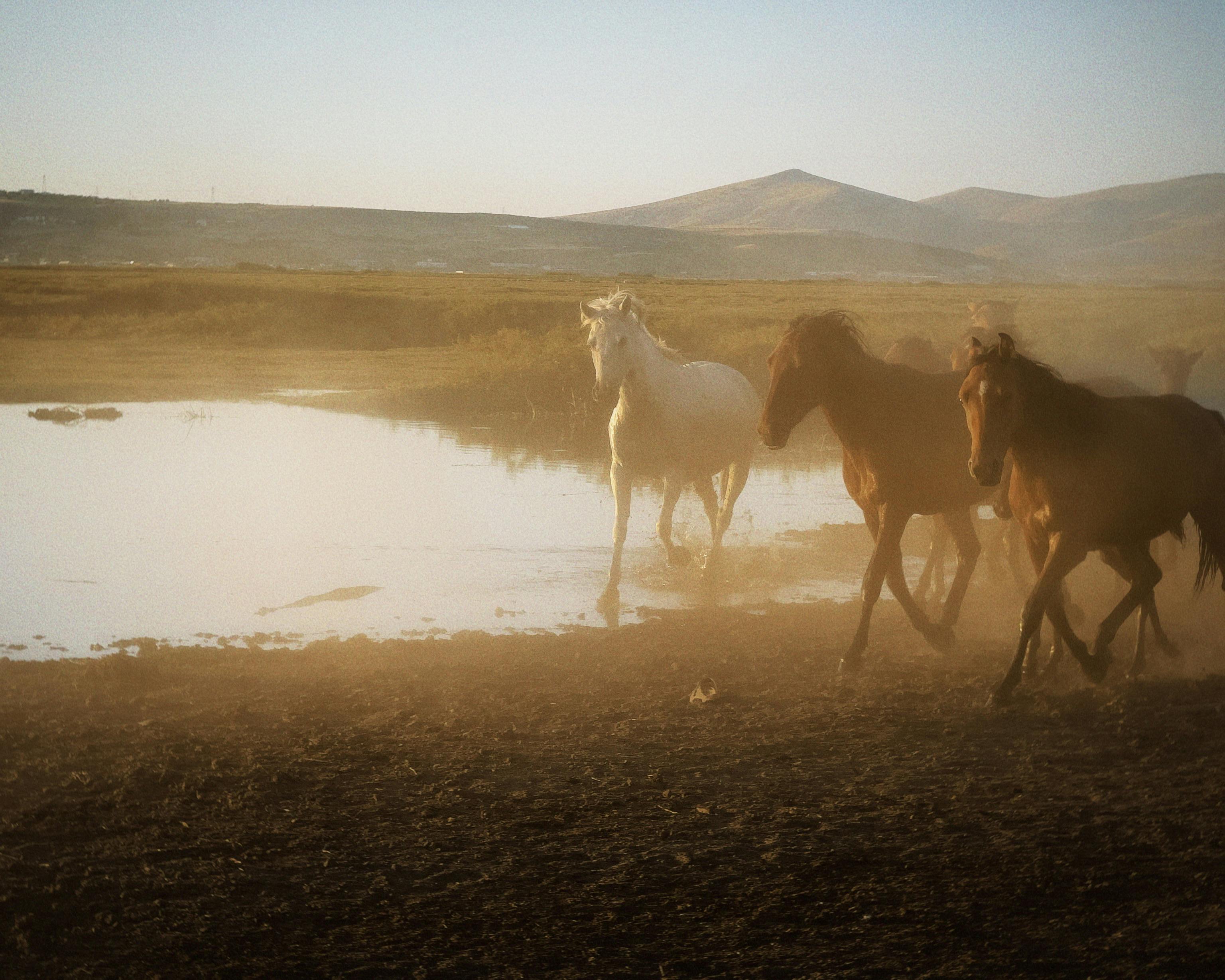 生活：颱風豪雨過後 濁水溪裸露地防制揚塵措施啟動
