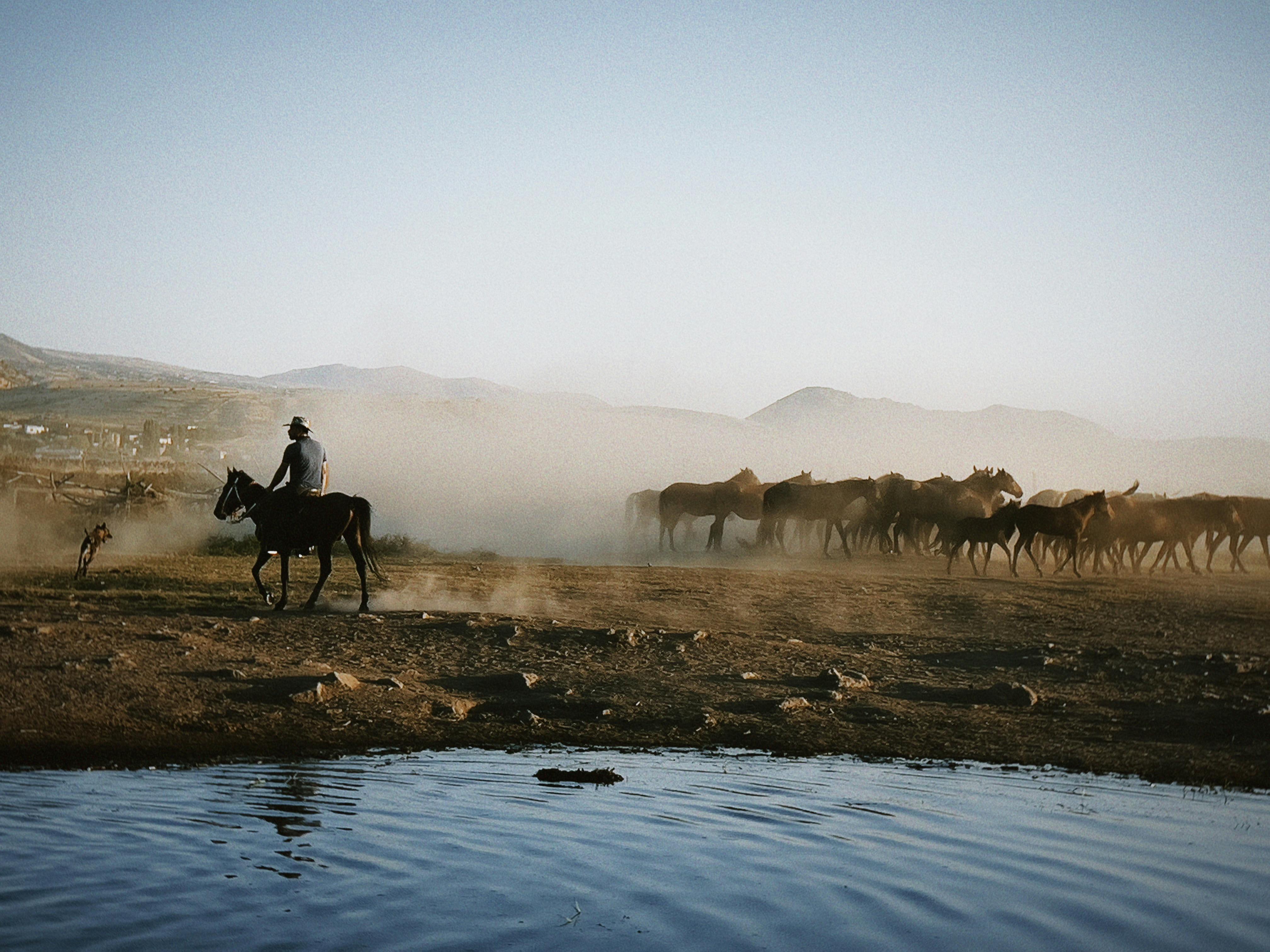 Türkiye’s population prefers Western lifestyle, survey shows — Photo by Mehmet Turgut  Kirkgoz on Pexels