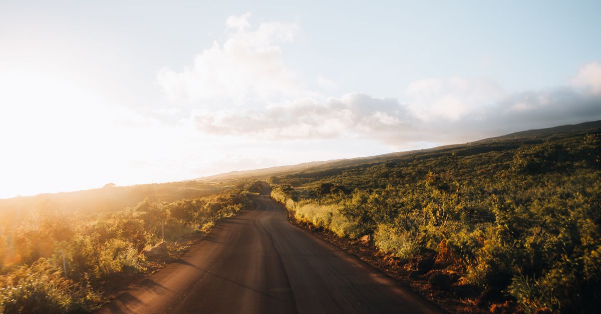 Photo by Florian Süß A beautiful road in Hawaii with lush greenery and warm sunrise light creates a serene, picturesque scene.