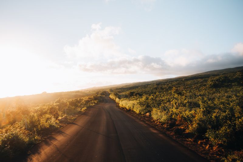 A lush green road in warm morning light - wide open space and a gentle path