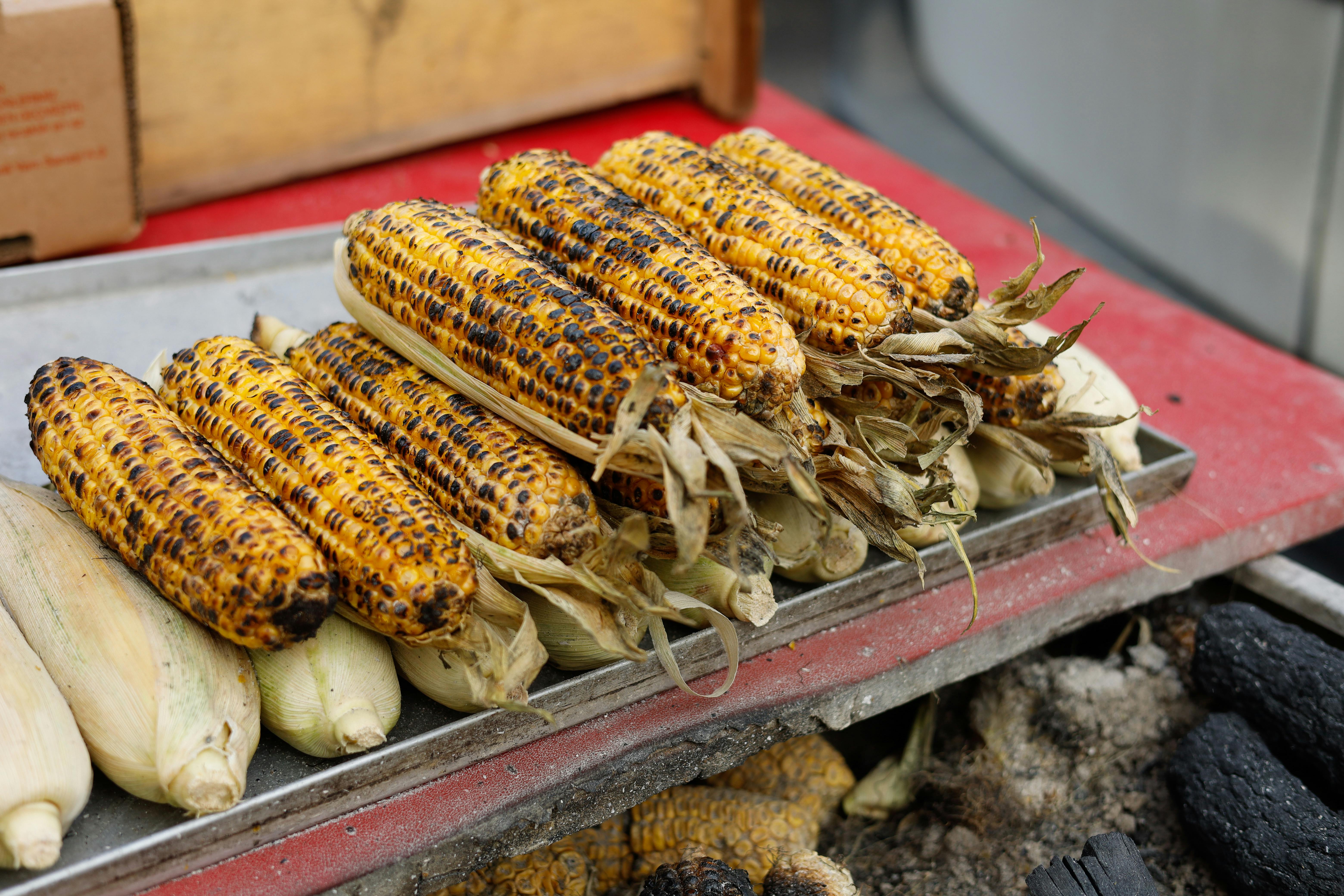 National Corn Growers Association and Ag Data Transparent Release Transparency Principles for Ag Carbon — Photo by Esra Korkm