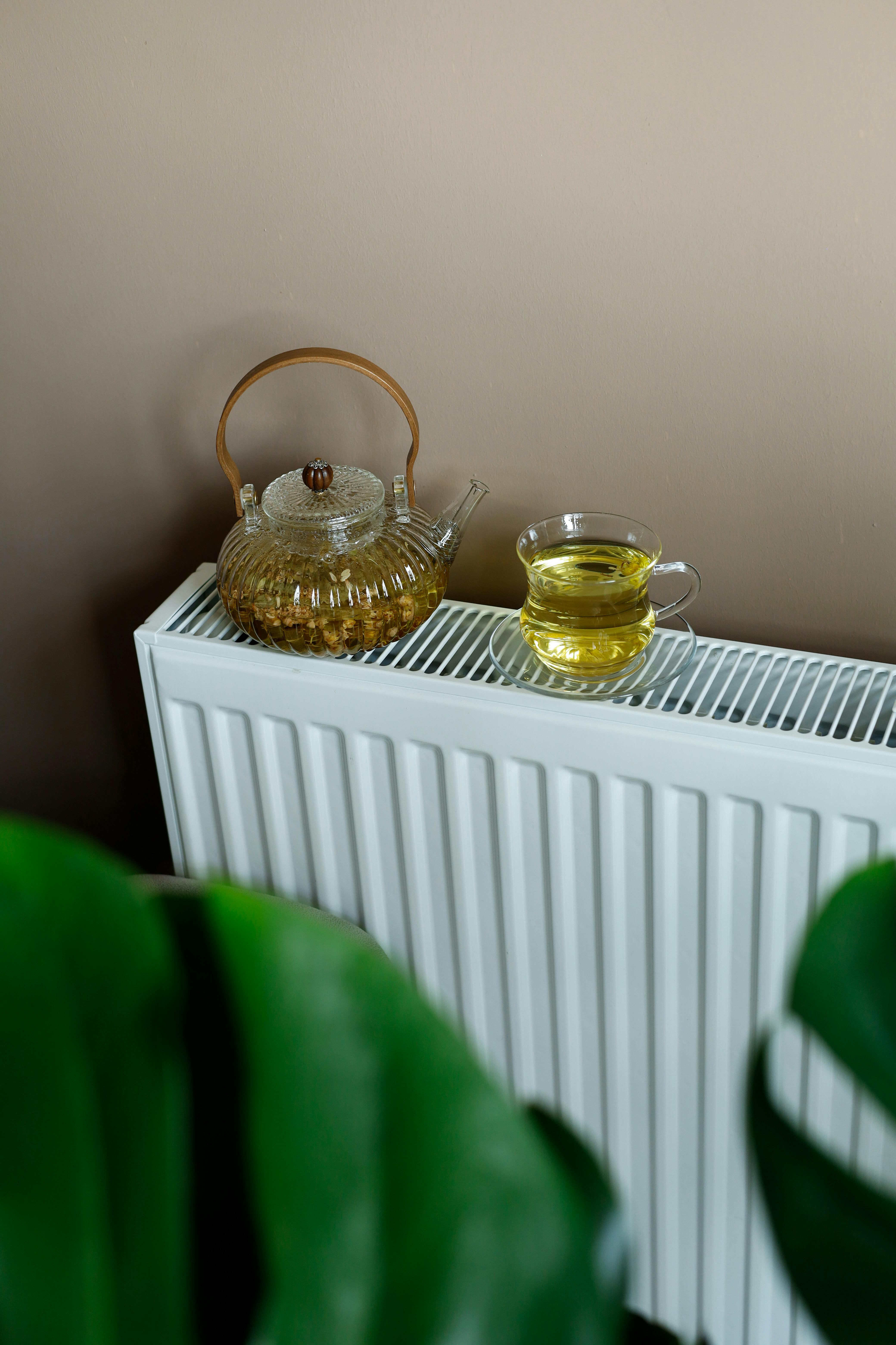 Glass teapot and mug on radiator with plants in cozy indoor setting.