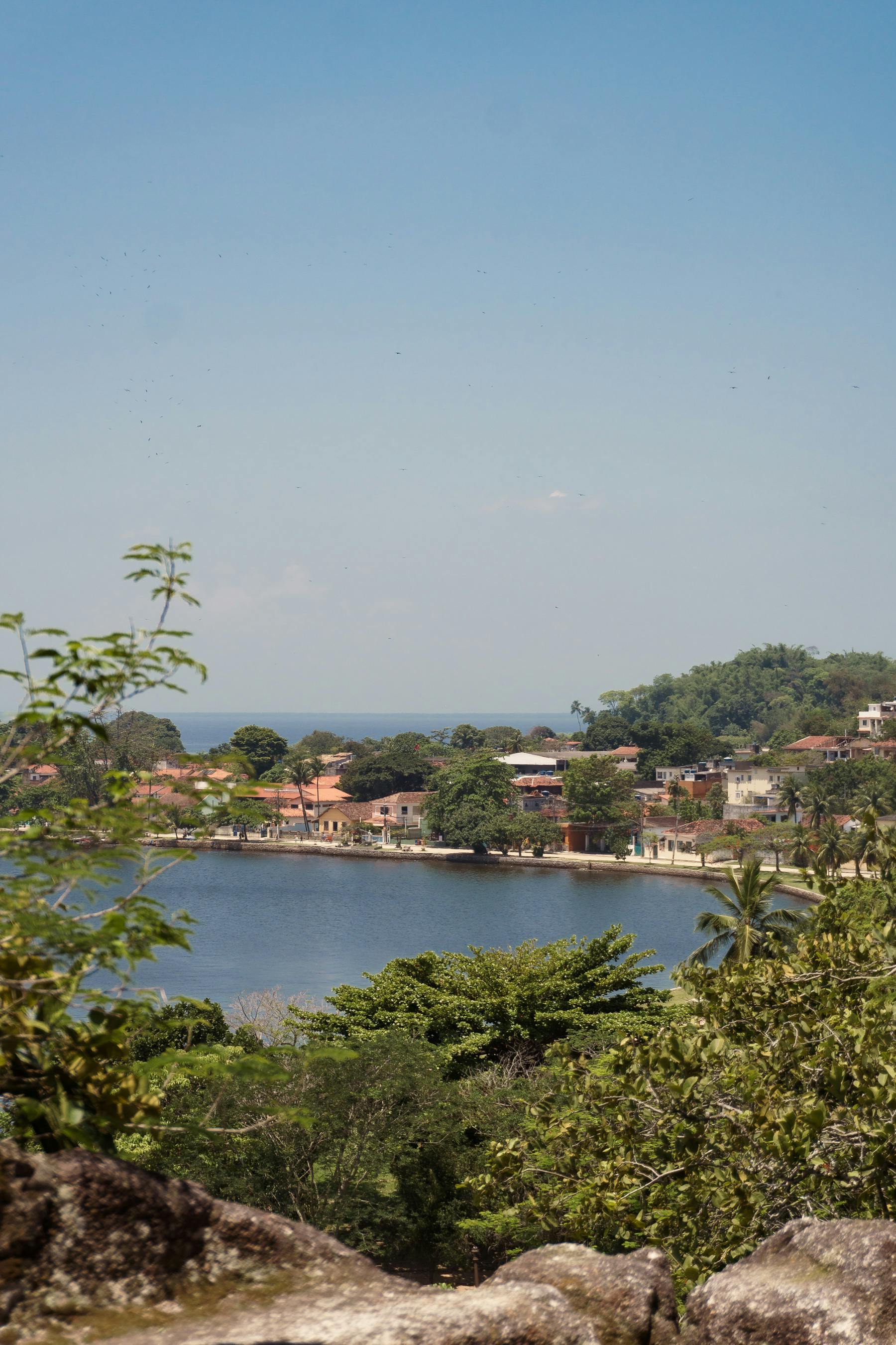 The Ultimate Cotham Hill Experience: What to See, Do, and Taste in Bristol's Trendiest Neighbourhood