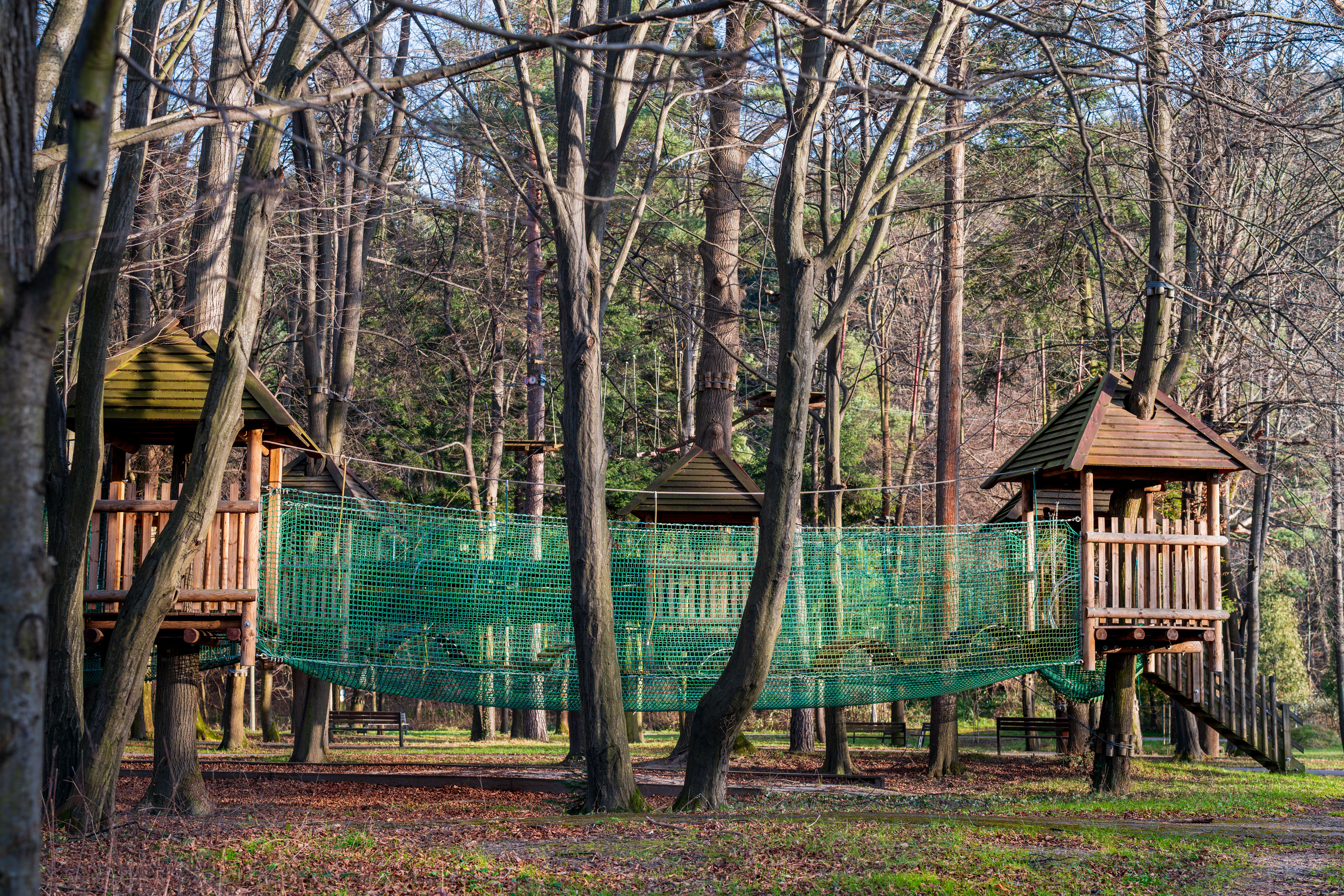 Charming wooden treehouses connected by a net bridge in a serene forest setting.