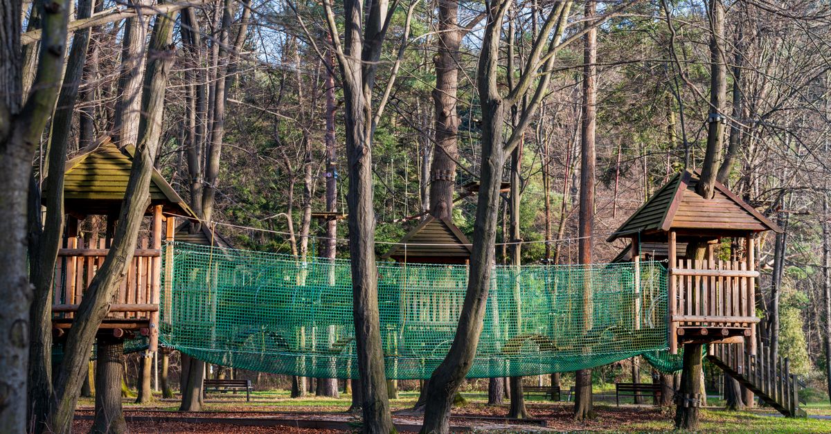 Charming wooden treehouses connected by a net bridge in a serene forest setting.