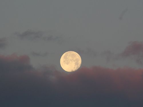Free A serene full moon rising in a twilight sky surrounded by soft clouds. Stock Photo