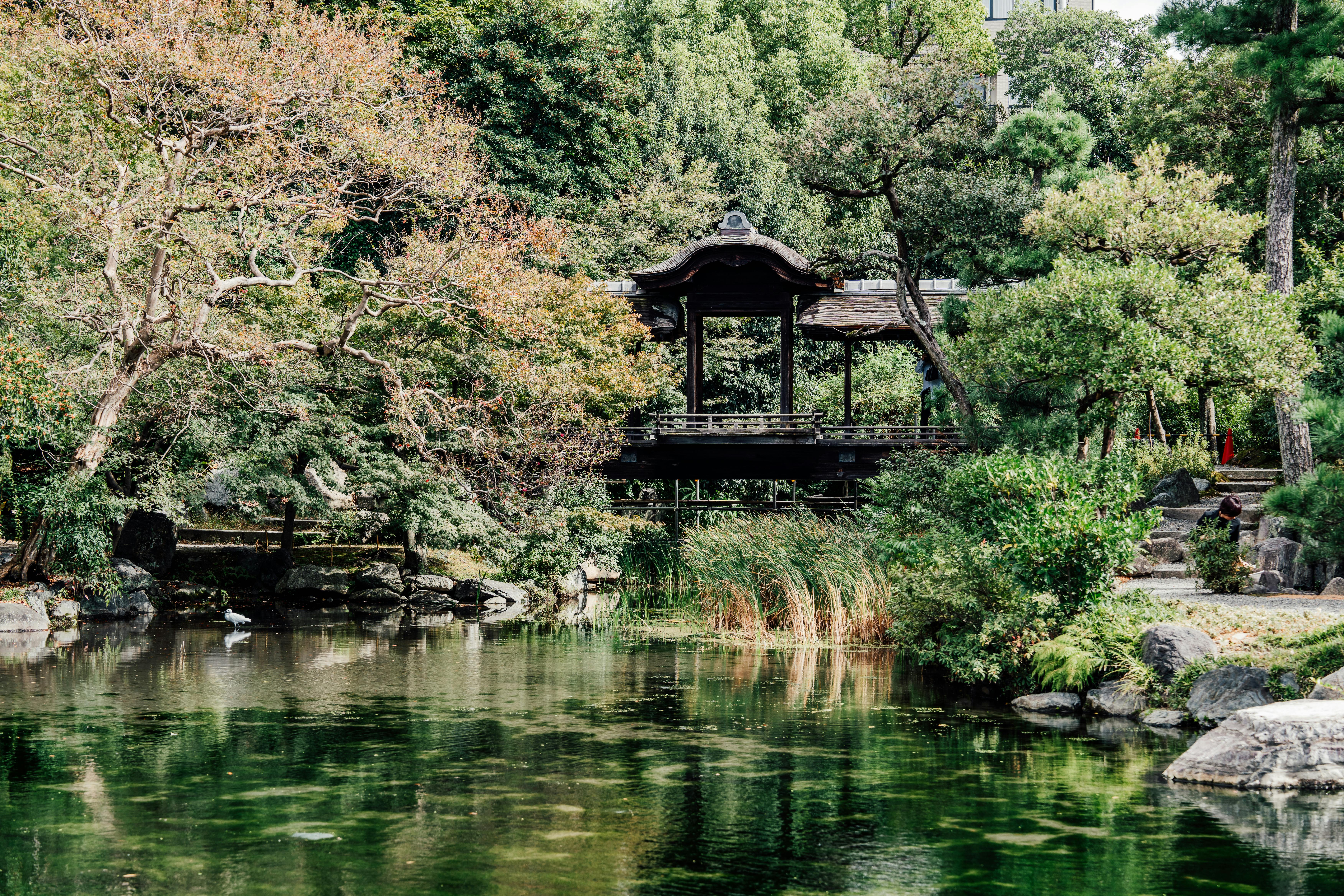 New Zealand Joins Australia, Japan, Georgia, Fiji, South Korea and More as Global Travel Disruptions Escalate — Photo by G N 