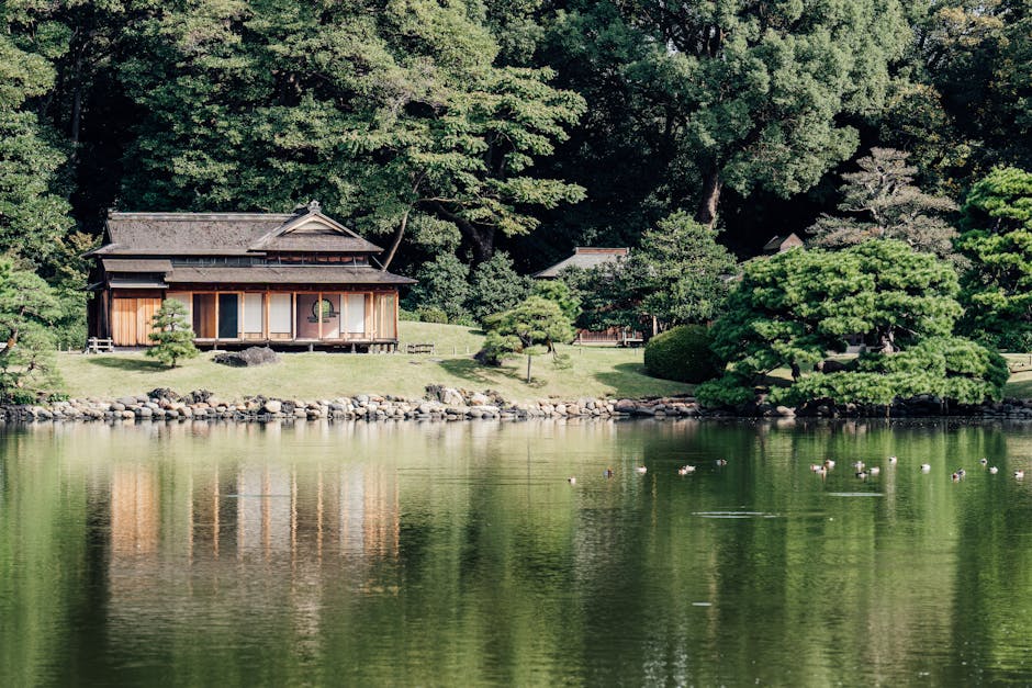 日经平均下跌341日元,开盘后稍微止跌(菲斯科) 日经平均下跌341日元,开盘后稍微止跌(菲斯科)