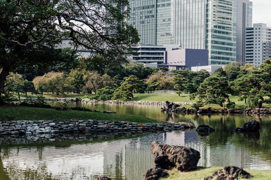 Serene Japanese garden with skyscrapers in the background, blending nature and city.