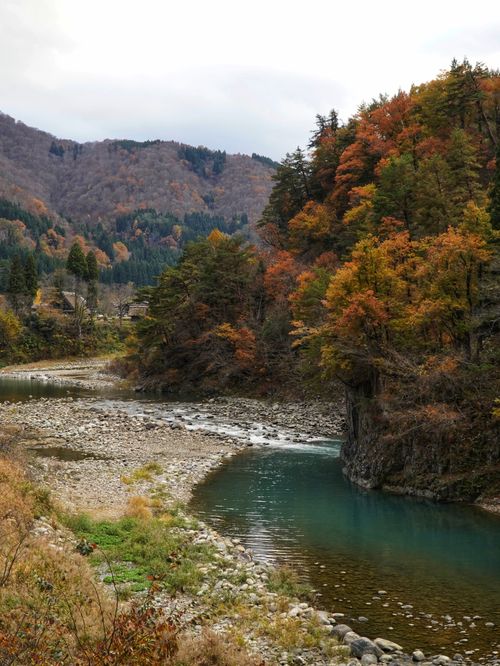 Free Picturesque river flowing through autumnal forest with colorful foliage and mountains. Stock Photo