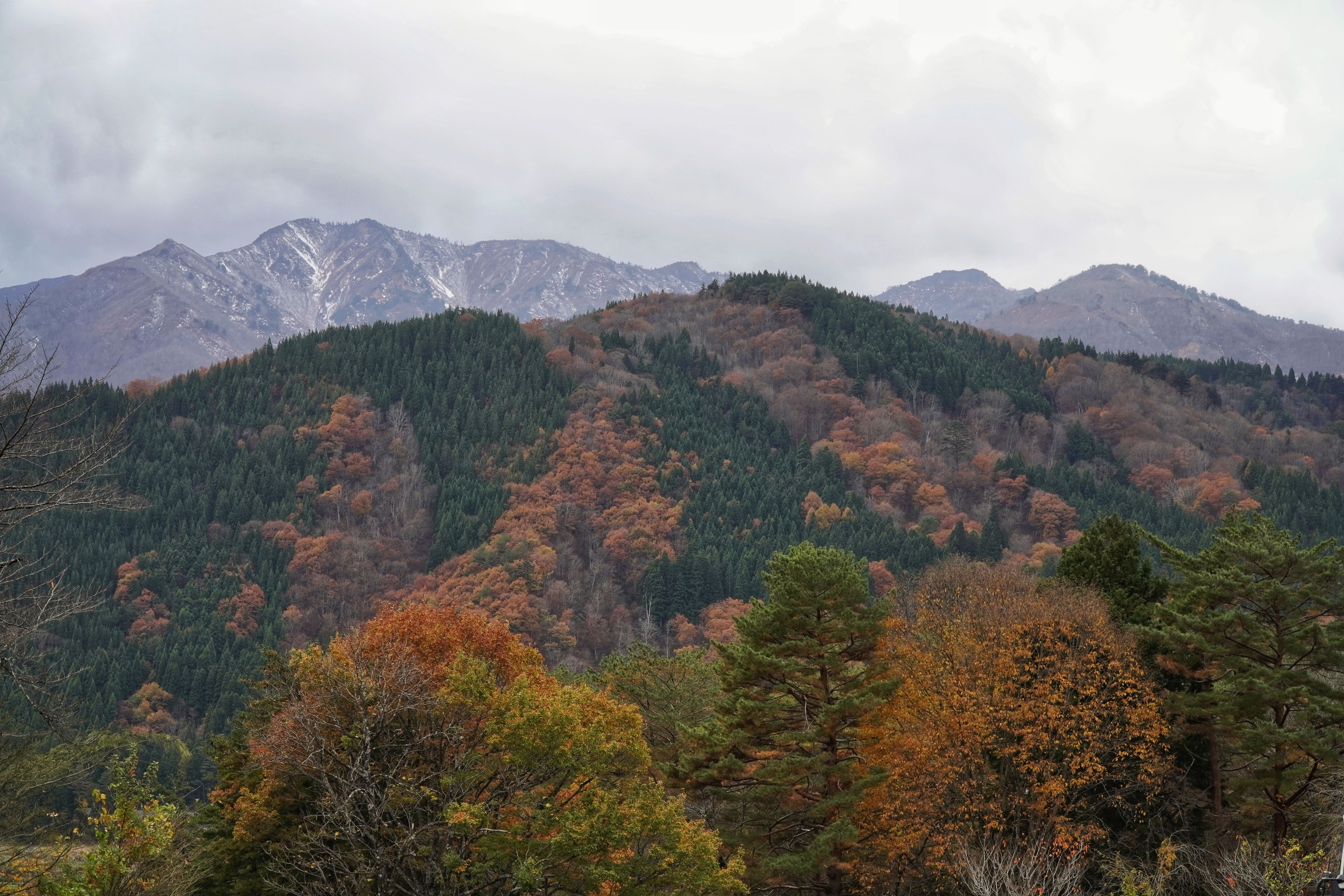Scenic Autumn Mountain Landscape with Forest · Free Stock Photo