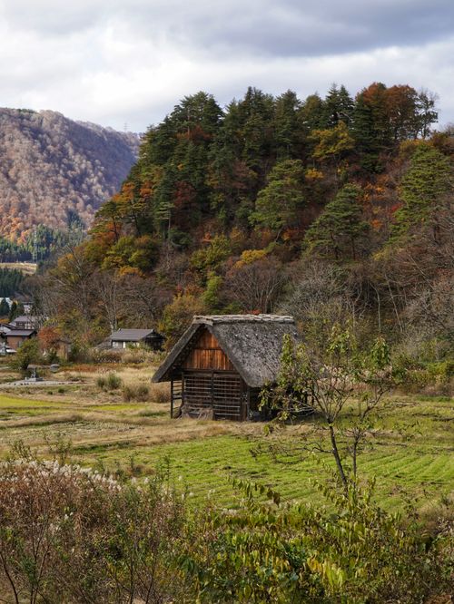 Free Traditional wooden house in a serene autumn landscape with lush foliage. Stock Photo