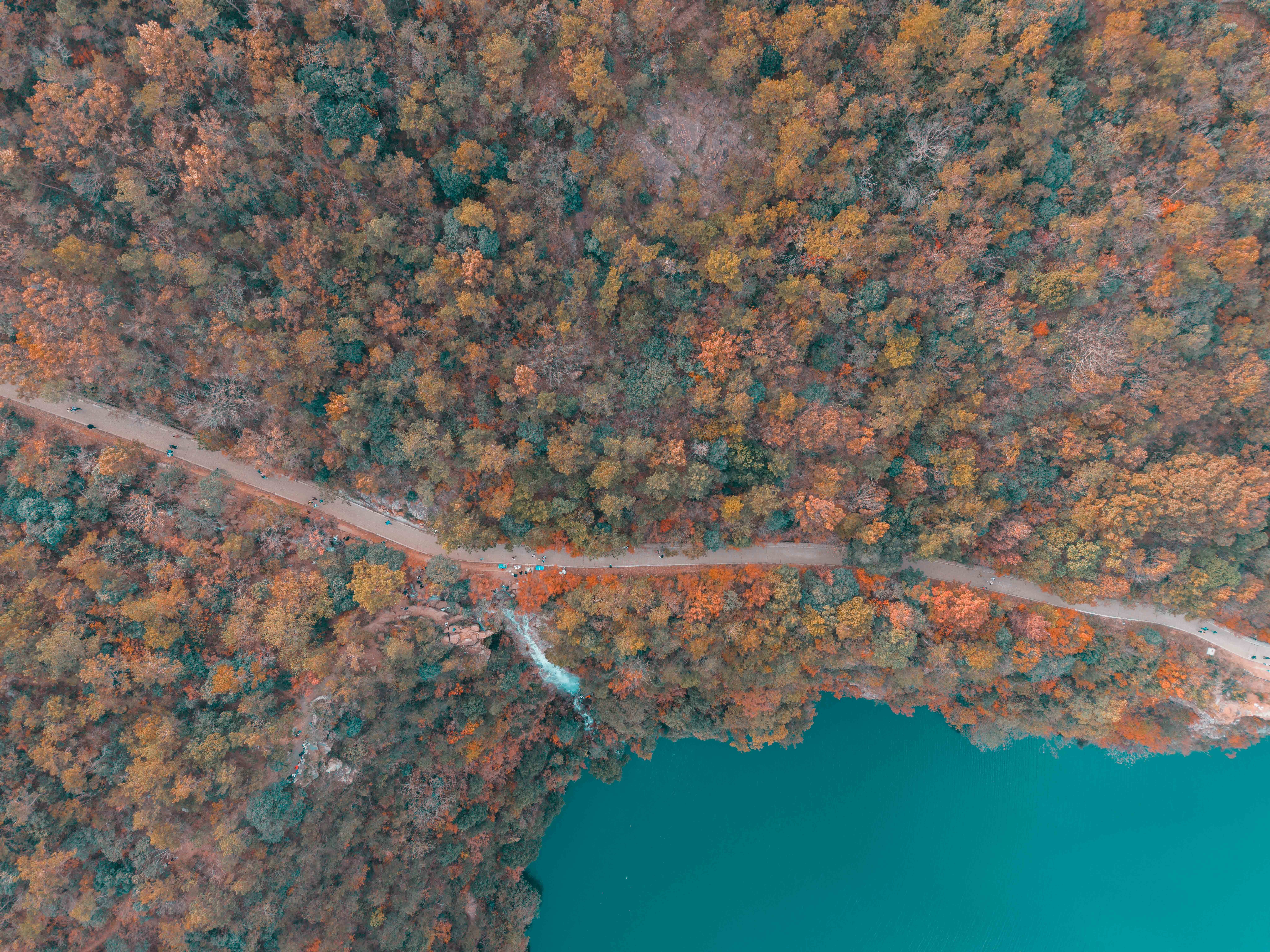 Aerial View of Autumn Forest and Tranquil Lake · Free Stock Photo