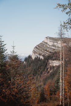 Explore the serene beauty of autumn in Altıparmak Mountains, Bolu, Türkiye.