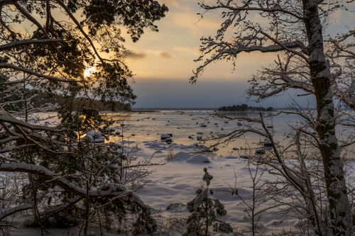 Free Stunning winter sunrise over Lahepere Bay with snow-covered trees and icy water. Stock Photo