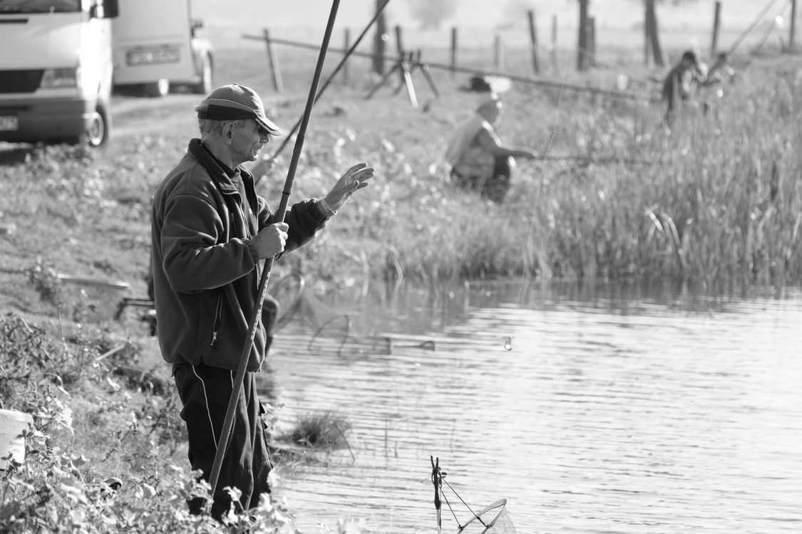 Fishing By Riverside Men Fishing by a Tranquil Riverside · Free Stock Photo