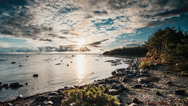 A breathtaking beach sunrise with rocky shoreline and pine trees under a dramatic sky.