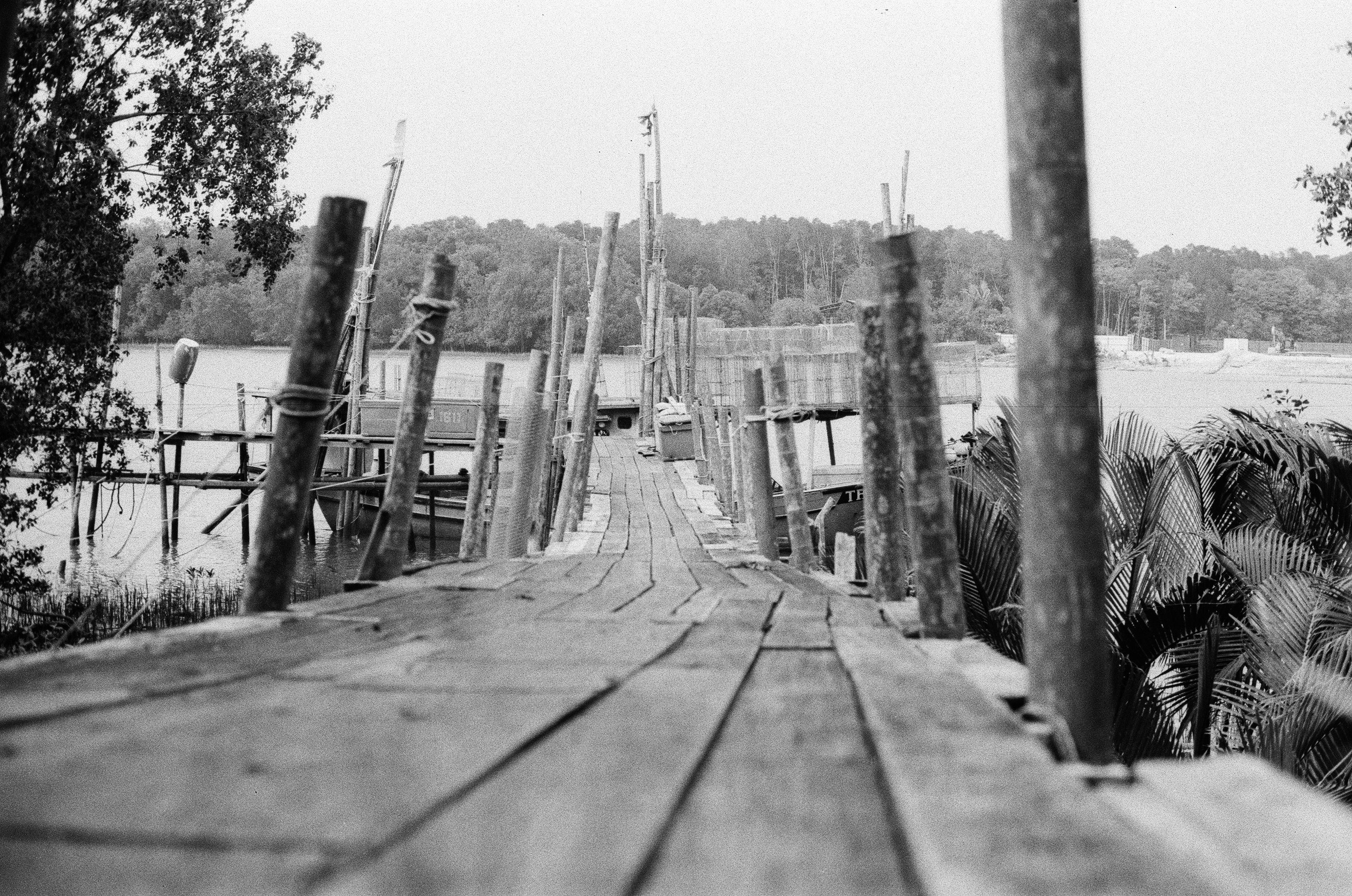 Rustic Wooden Bridge Over Serene River · Free Stock Photo