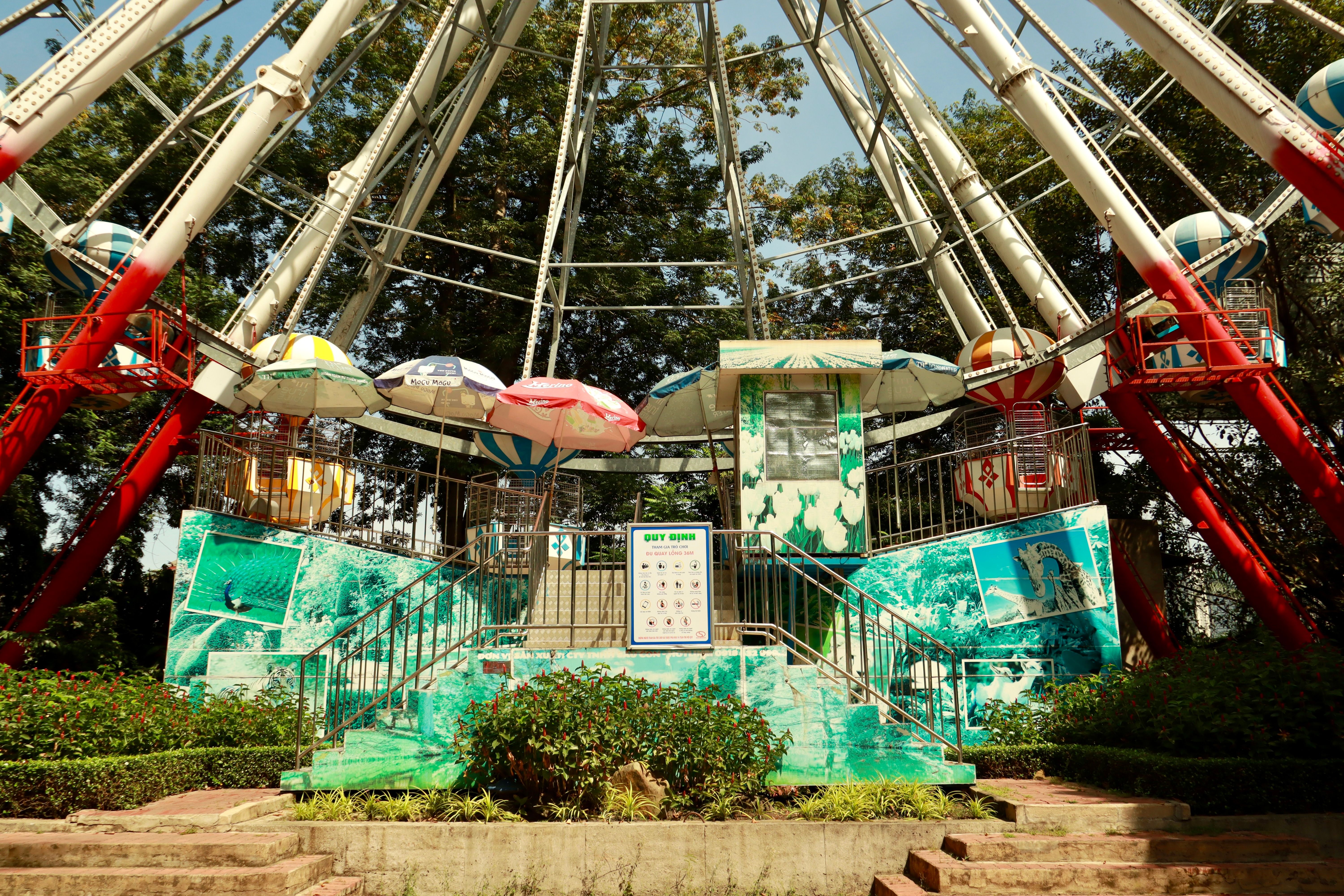 Vibrant view of a ferris wheel in a lush amusement park setting, daytime.