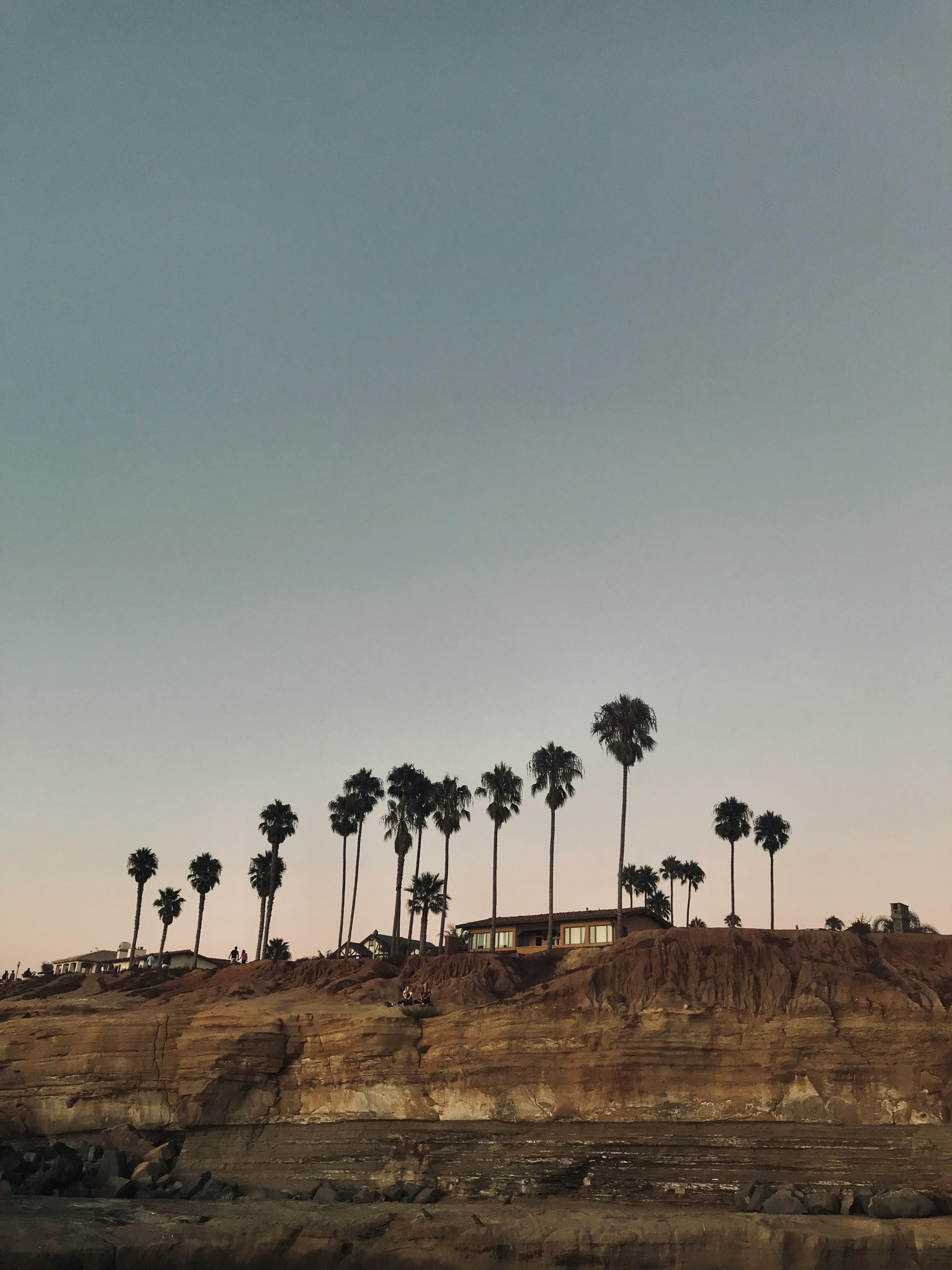 日落时分，悬崖上棕榈树的剪影营造出宁静而优美的氛围