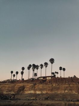 日落时分，悬崖上棕榈树的剪影营造出宁静而优美的氛围