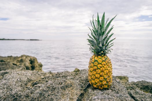 A vibrant pineapple sits on rocky terrain by the sea, evoking a tropical and coastal feel.