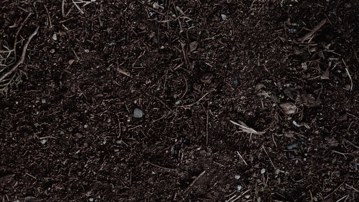 Les meilleures techniques de compostage pour le potager dautomne à Angers