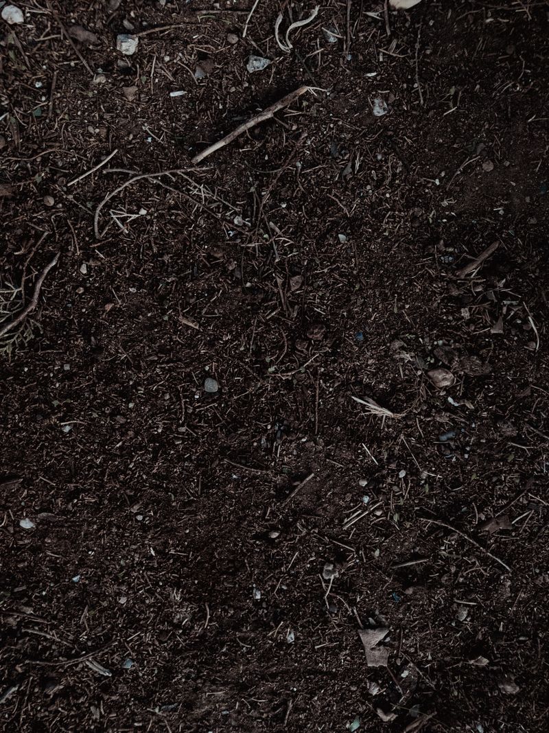How to Improve Clay Soil in Your Lawn