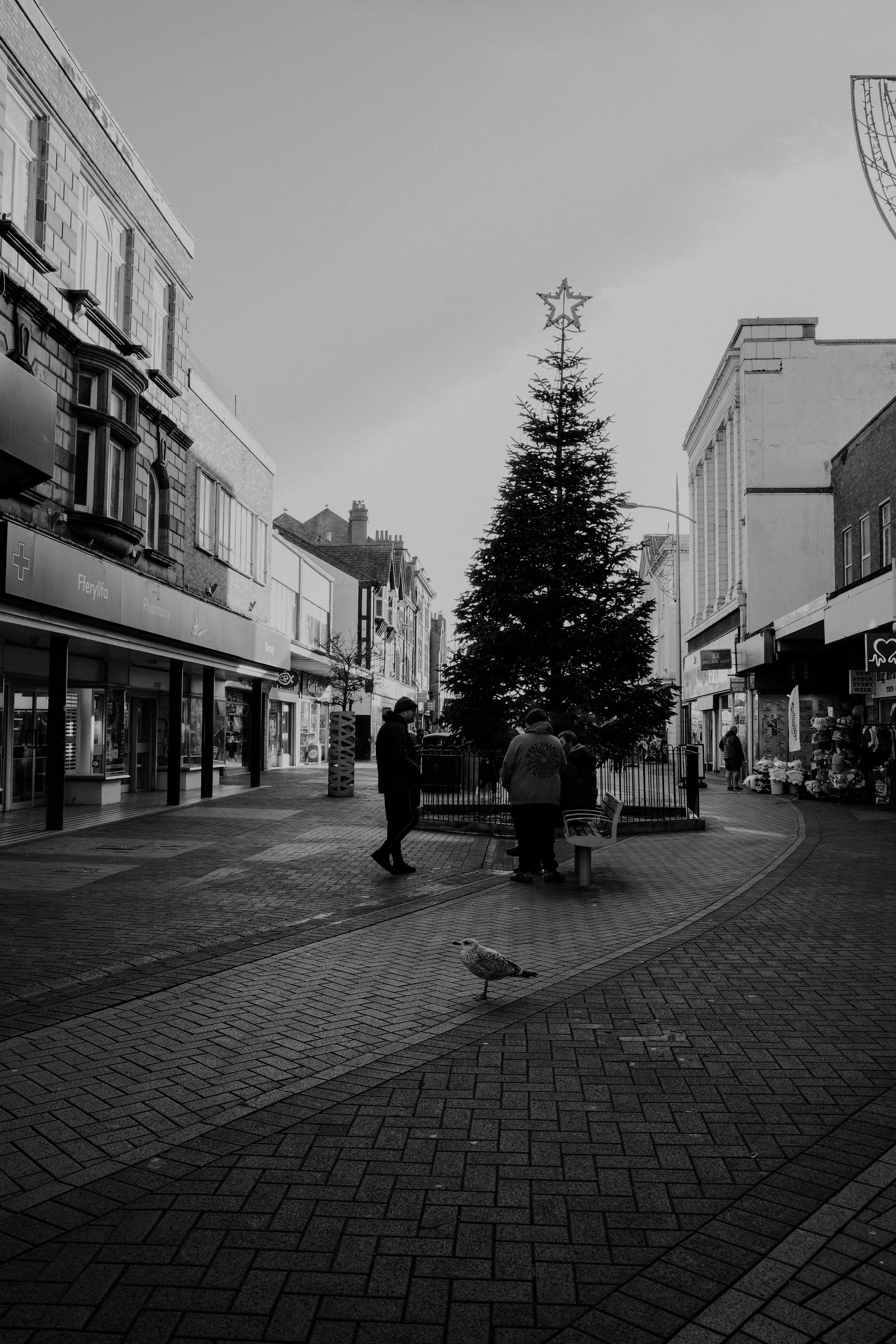Monochrome photo of a city street during Christmas with a large Christmas tree and people.