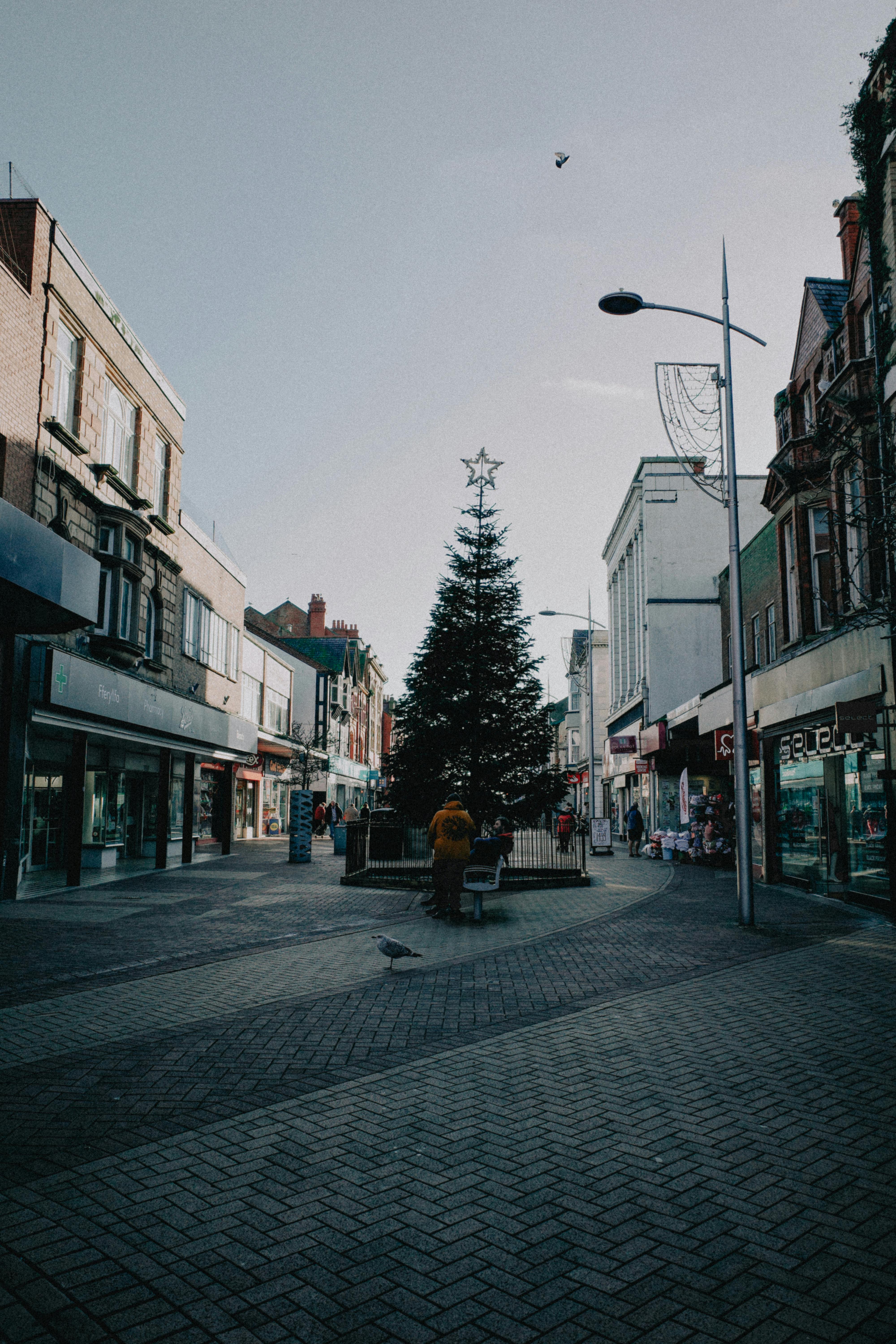 Quiet city street featuring a decorated Christmas tree in the center during winter.