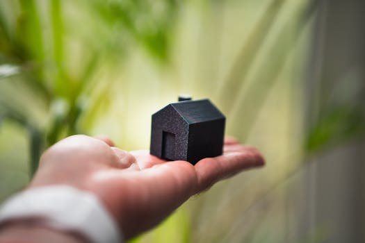 Close-up of a hand holding a miniature black house with greenery in the background.