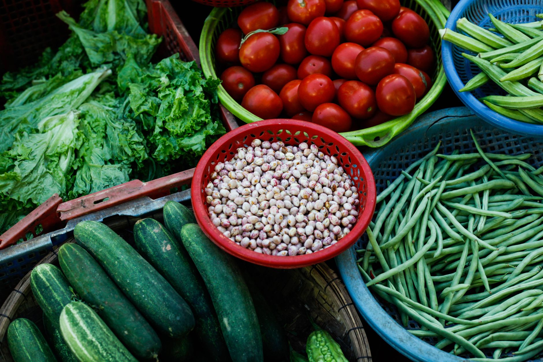 Spring Harvest Supply Chains Activate As Regional Produce Returns To Local Markets