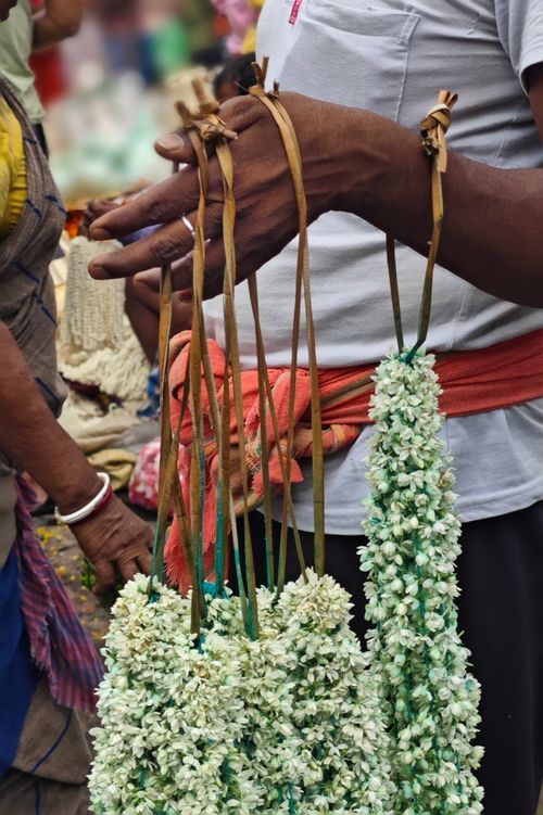 Free Vibrant flower market in Kolkata showcasing floral garlands and local culture. Stock Photo