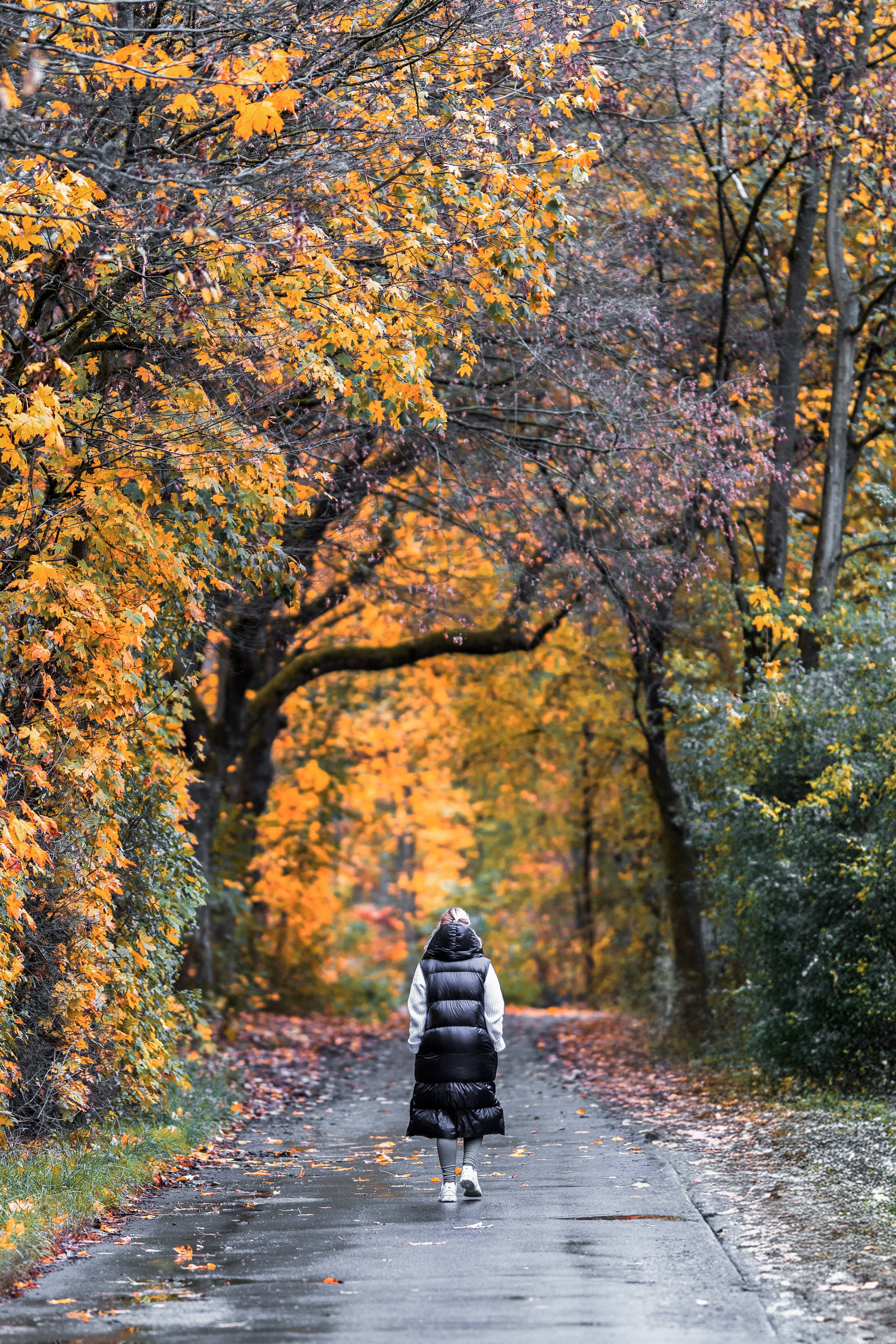 Woman walking through autumn forest path · Free Stock Photo
